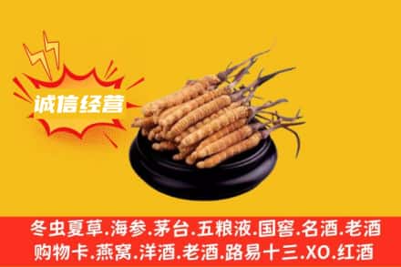 牡丹江海林回收冬虫夏草